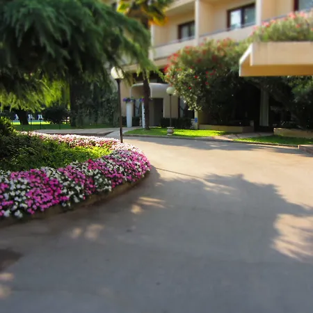 Blue Dream 4* مونسيليسي