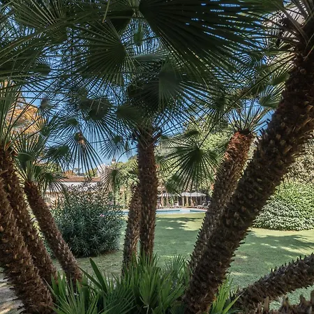 Отель Blue Dream Монселиче