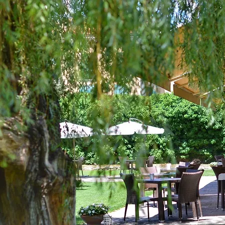 Blue Dream 4* Monselice