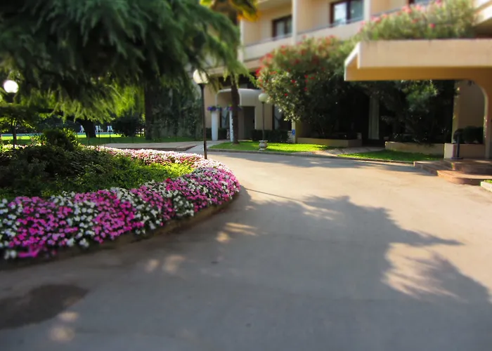 Blue Dream 4* Монселиче