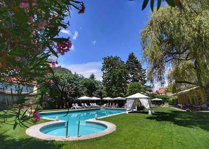 Blue Dream Монселиче