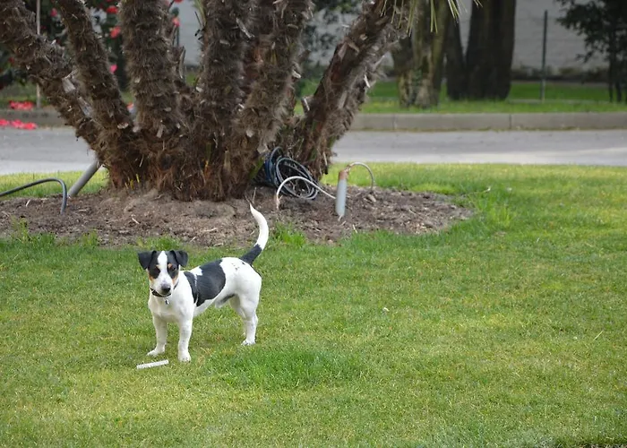 Отель Blue Dream
