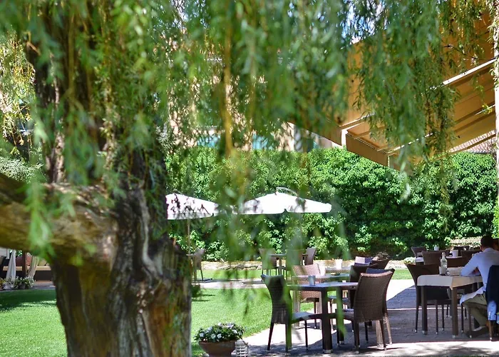 Blue Dream 4* Монселиче